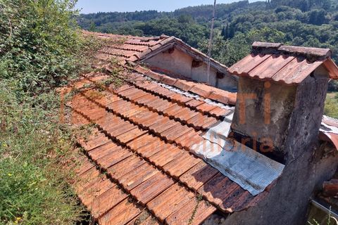 Træhytte i Arcos de Valdevez, Viana do Castelo, Arcos de Valdevez - € 24.000 | Ref: SAFTI:003002 - foto 10