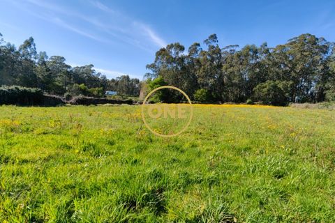 Helårsgrund i Esposende, Braga, Esposende - € 35.000 | Ref: ONE0021050-130 - foto 4
