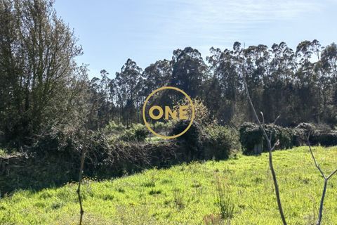 Helårsgrund i Esposende, Braga, Esposende - € 35.000 | Ref: ONE0021050-130 - foto 7