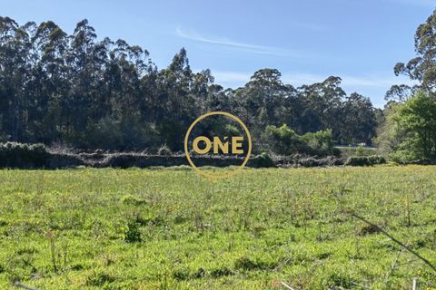 Helårsgrund i Esposende, Braga, Esposende - € 35.000 | Ref: ONE0021050-130 - foto 9