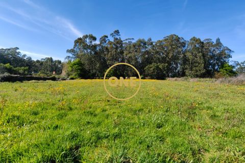 Helårsgrund i Esposende, Braga, Esposende - € 35.000 | Ref: ONE0021050-130 - foto 10