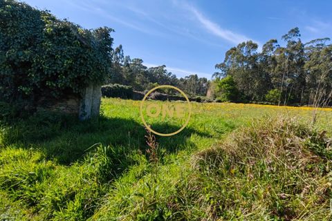 Helårsgrund i Esposende, Braga, Esposende - € 35.000 | Ref: ONE0021050-130 - foto 12