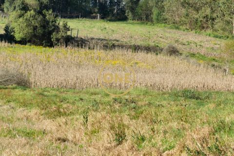 Helårsgrund i Esposende, Braga, Esposende - € 35.000 | Ref: ONE0021050-130 - foto 14