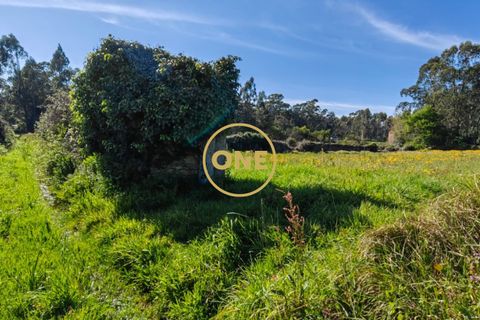 Helårsgrund i Esposende, Braga, Esposende - € 35.000 | Ref: ONE0021050-130 - foto 15