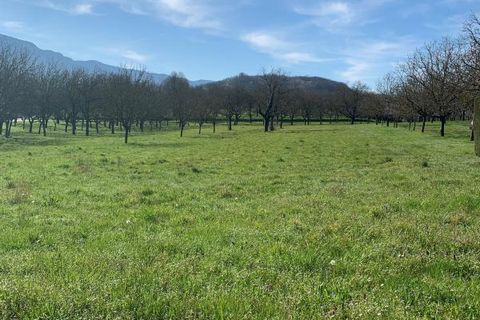 Terra a Tullins, Isere, Tullins - € 135.000 | Ref: FC_MEADIE_LOT1 - foto 2
