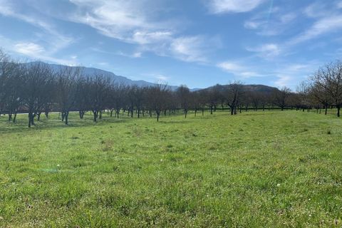 Terra a Tullins, Isere, Tullins - € 135.000 | Ref: FC_MEADIE_LOT1 - foto 4