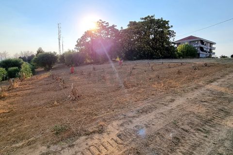 Erhvervsejendom i Pescara, Pescara, Pescara - € 255.000 | Ref: 1201-V - foto 3