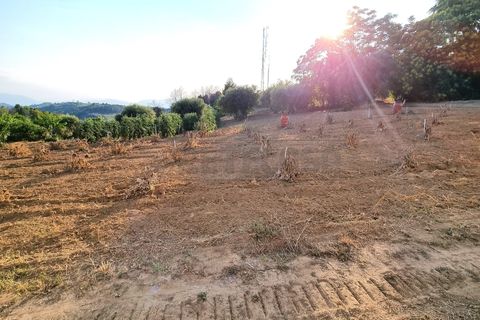 Erhvervsejendom i Pescara, Pescara, Pescara - € 255.000 | Ref: 1201-V - foto 4