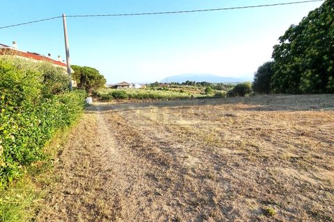 Erhvervsejendom i Pescara, Pescara, Pescara - € 255.000 | Ref: 1201-V - foto 6