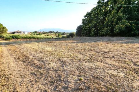Erhvervsejendom i Pescara, Pescara, Pescara - € 255.000 | Ref: 1201-V - foto 7