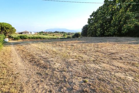 Erhvervsejendom i Pescara, Pescara, Pescara - € 255.000 | Ref: 1201-V - foto 8