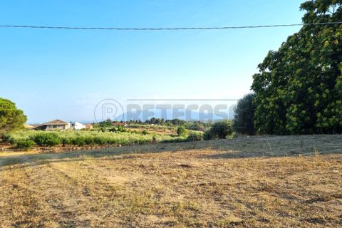 Erhvervsejendom i Pescara, Pescara, Pescara - € 255.000 | Ref: 1201-V - foto 10