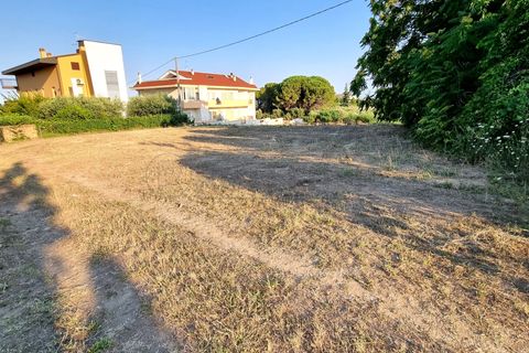 Erhvervsejendom i Pescara, Pescara, Pescara - € 255.000 | Ref: 1201-V - foto 11