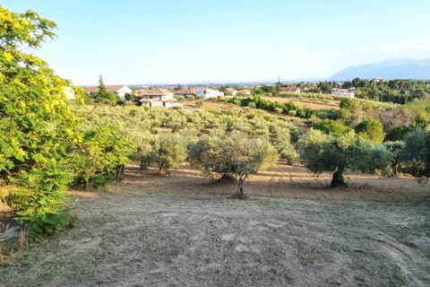Erhvervsejendom i Pescara, Pescara, Pescara - € 255.000 | Ref: 1201-V - foto 15
