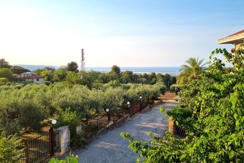 Erhvervsejendom i Pescara, Pescara, Pescara - € 255.000 | Ref: 1201-V - foto 17