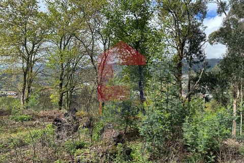 Byhus i Vila Verde, Braga, Vila Verde - € 71.500 | Ref: 08032 - foto 12