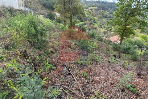 Byhus i Vila Verde, Braga, Vila Verde - € 71.500 | Ref: 08032 - foto 18