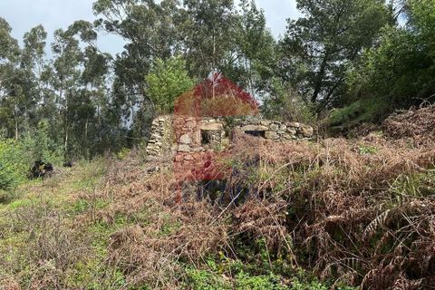 Byhus i Vila Verde, Braga, Vila Verde - € 71.500 | Ref: 08032 - foto 20