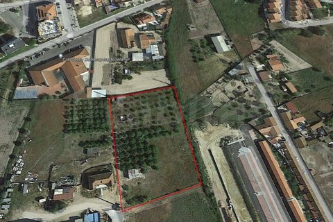 Helårsgrund i Benavente, Santarem, Benavente - € 200.000 | Ref: HB3536 - foto 1