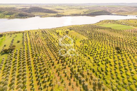 Terra a Alandroal, Evora, Alandroal - € 33.000 | Ref: 318/T/03126 - foto 3