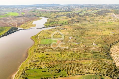 Terra a Alandroal, Evora, Alandroal - € 33.000 | Ref: 318/T/03126 - foto 6