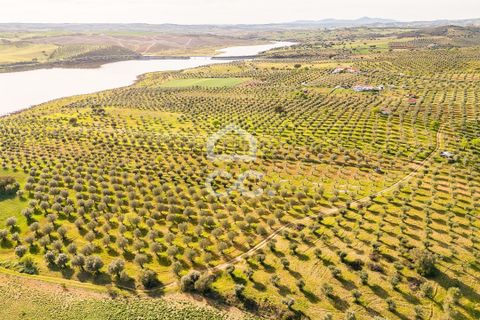 Terra a Alandroal, Evora, Alandroal - € 33.000 | Ref: 318/T/03126 - foto 7