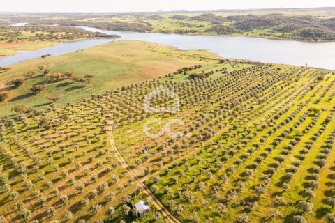 Terra a Alandroal, Evora, Alandroal - € 33.000 | Ref: 318/T/03126 - foto 8