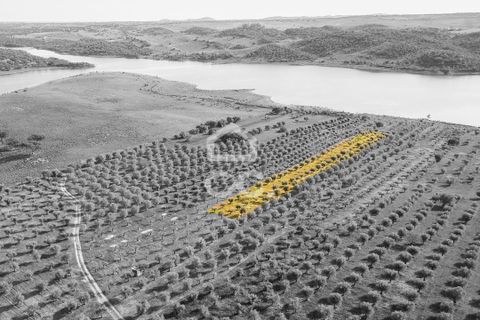 Terra a Alandroal, Evora, Alandroal - € 33.000 | Ref: 318/T/03126 - foto 9