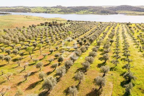 Terra a Alandroal, Evora, Alandroal - € 33.000 | Ref: 318/T/03126 - foto 13