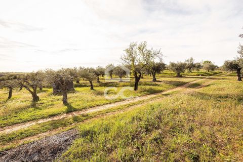 Terra a Alandroal, Evora, Alandroal - € 33.000 | Ref: 318/T/03126 - foto 14
