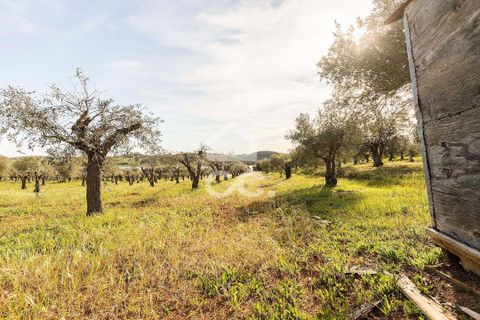 Terra a Alandroal, Evora, Alandroal - € 33.000 | Ref: 318/T/03126 - foto 15