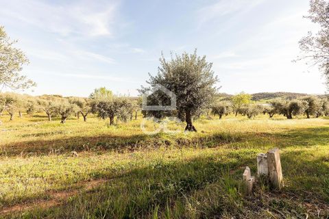 Terra a Alandroal, Evora, Alandroal - € 33.000 | Ref: 318/T/03126 - foto 16
