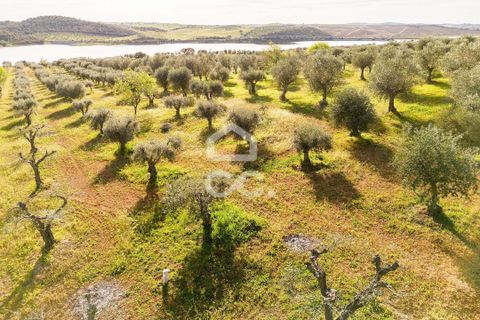 Terra a Alandroal, Evora, Alandroal - € 33.000 | Ref: 318/T/03126 - foto 18
