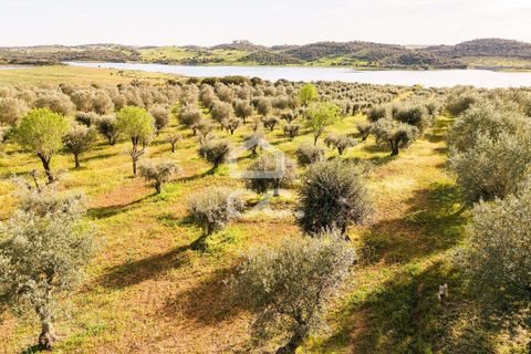 Terra a Alandroal, Evora, Alandroal - € 33.000 | Ref: 318/T/03126 - foto 19