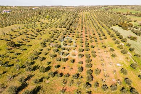 Terra a Alandroal, Evora, Alandroal - € 33.000 | Ref: 318/T/03126 - foto 21