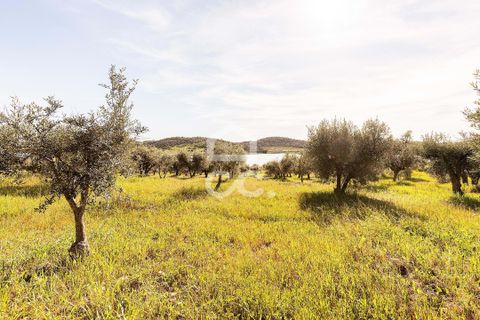 Terra a Alandroal, Evora, Alandroal - € 33.000 | Ref: 318/T/03126 - foto 28