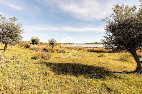 Terra a Alandroal, Evora, Alandroal - € 33.000 | Ref: 318/T/03126 - foto 29