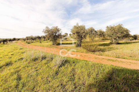 Terra a Alandroal, Evora, Alandroal - € 33.000 | Ref: 318/T/03126 - foto 32