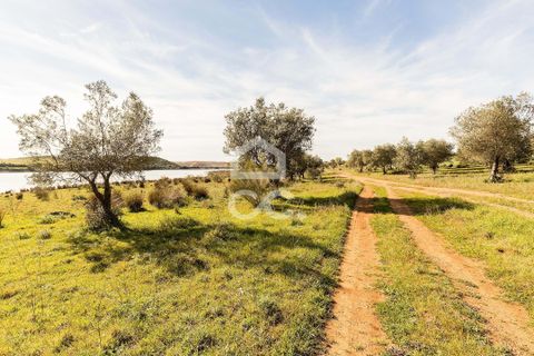 Terra a Alandroal, Evora, Alandroal - € 33.000 | Ref: 318/T/03126 - foto 33