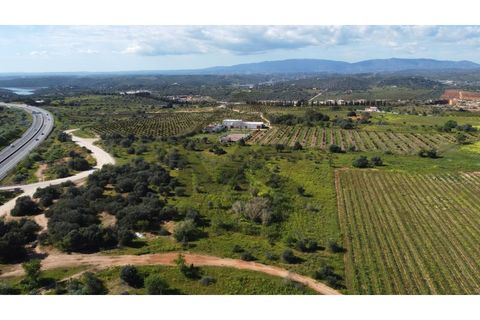 Helårsgrund i Carvoeiro, Faro, Carvoeiro - € 55.000 | Ref: MSM001 - foto 3
