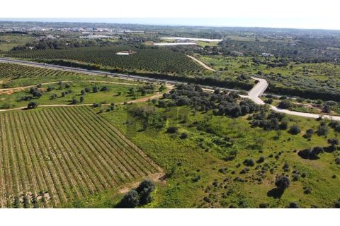 Helårsgrund i Carvoeiro, Faro, Carvoeiro - € 55.000 | Ref: MSM001 - foto 4