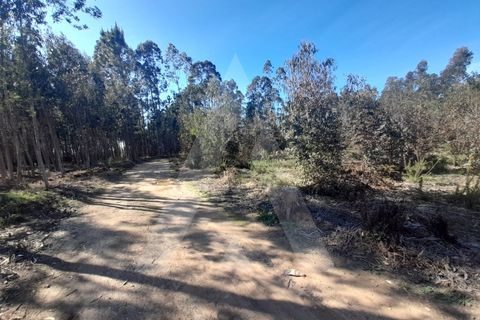 Helårsgrund i Agueda, Aveiro, Agueda - € 130.000 | Ref: 1011702/23 GL - foto 2