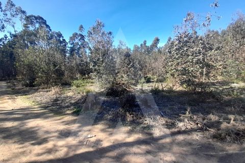 Helårsgrund i Agueda, Aveiro, Agueda - € 130.000 | Ref: 1011702/23 GL - foto 4