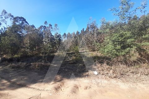 Helårsgrund i Agueda, Aveiro, Agueda - € 130.000 | Ref: 1011702/23 GL - foto 5