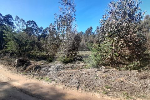 Helårsgrund i Agueda, Aveiro, Agueda - € 130.000 | Ref: 1011702/23 GL - foto 6