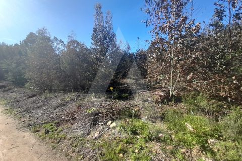 Helårsgrund i Agueda, Aveiro, Agueda - € 130.000 | Ref: 1011702/23 GL - foto 8