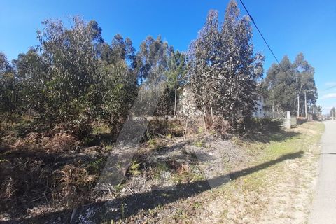 Helårsgrund i Agueda, Aveiro, Agueda - € 130.000 | Ref: 1011702/23 GL - foto 9