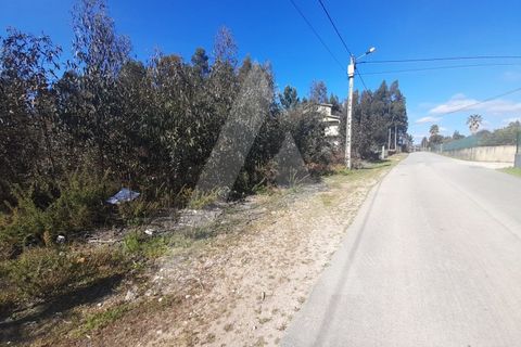 Helårsgrund i Agueda, Aveiro, Agueda - € 130.000 | Ref: 1011702/23 GL - foto 10