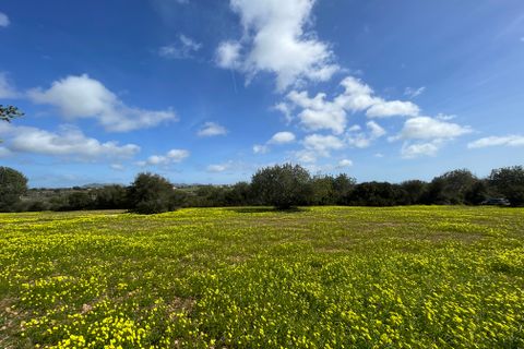 Terra a Manacor, Mallorca, Manacor - € 280.000 | Ref: 76561 - foto 6