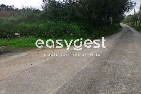 Helårsgrund i Condeixa-a-Nova, Coimbra, Condeixa-a-Nova - € 60.000 | Ref: RR91888 - foto 3